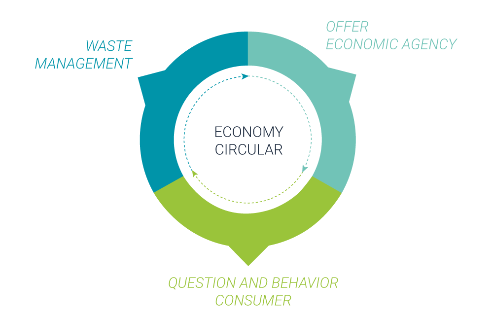 Read more about the article What is the circular economy?
