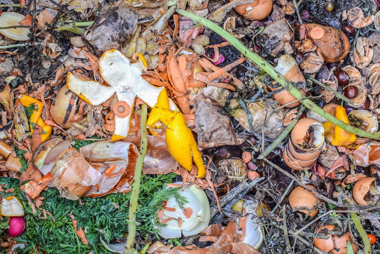 Read more about the article How to recycle your food waste?